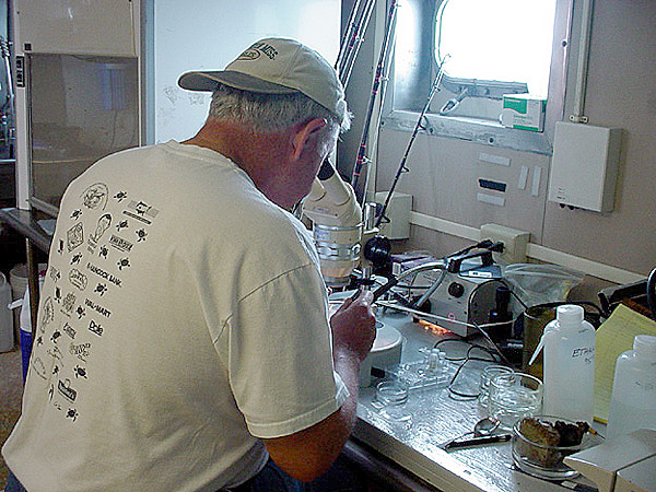 Jerry McLelland at microscope.