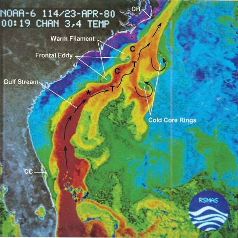 Sea surface temperature readings