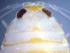 A parasitic isopod
