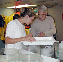 Scientists examine the catch from a recent neuston net tow