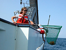 Dipnetting is one of the sampling techniques used to collect the notoriously difficult-to-catch flyingfish.