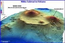 Three-dimensional image of Nikko Submarine Volcano