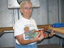 Mary Wicksten with a painted squat lobster
