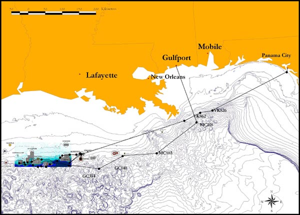 The approximate route of the NOAA Ship Ronald H. Brown during the NW Gulf of Mexico cruise.