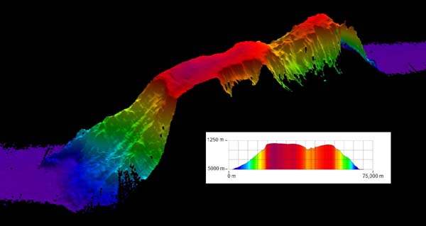 Partial bathymetric image of Kelvin Seamount