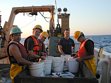 Sorting animals from the trawl catch at Bear Seamount in 2002.
