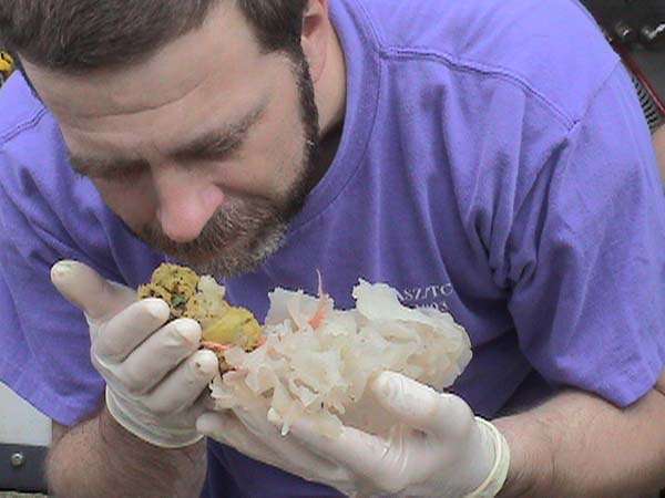 Dr. Scott France smelling a sponge