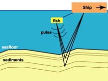 Schematic of subseafloor imaging with an acoustic system. This schematic demonstrates the principle underlying subseafloor imaging with an acoustic system.