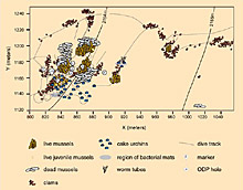 This map of the Blake Ridge Diapir shows the distribution of seep organisms