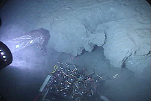 Methane bubbles rising in the water column as a push core was inserted
