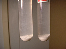 zinc sulfide collected in the bottom of test tubes