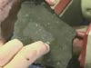 A piece of basalt that was taken off the ocean floor in the Gulf of Alaska.