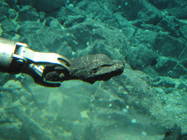 The claw and arm of Alvin grasping a “wedge” of pillow basalt.