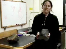See how the claw and arm of Alvin are able to sample a “wedge” of pillow basalt pulled from a fractured pillow lava.