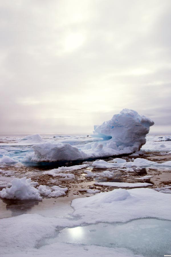 The dynamic nature of the Arctic environment.