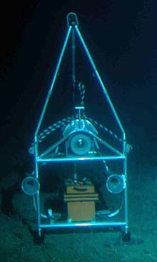 The innovative Eye in the Sea is a self-contained underwater camera system able to observe animals and their natural behaviors unobtrusively with red lights and an image intensifier that works something like night-vision goggles.