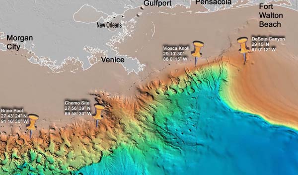 Deep Scope dive sites