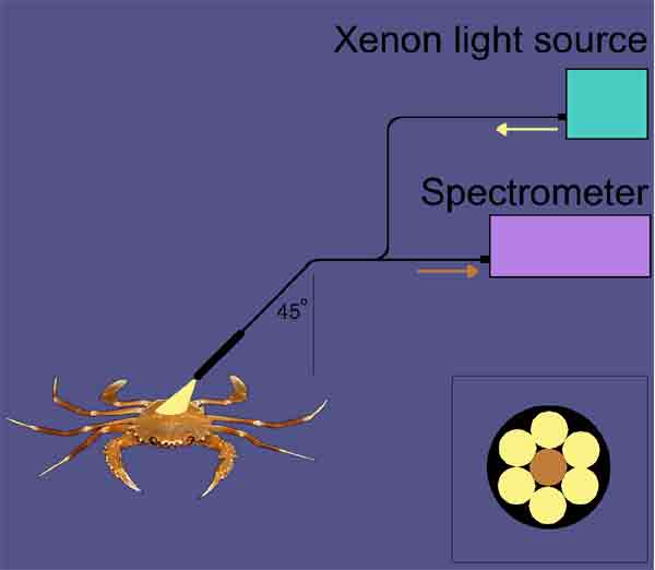 Light sticks are a well-known example of chemiluminescence