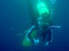 Blue water divers use glass jars to capture gelatinous specimens for further study in the ships laboratory.