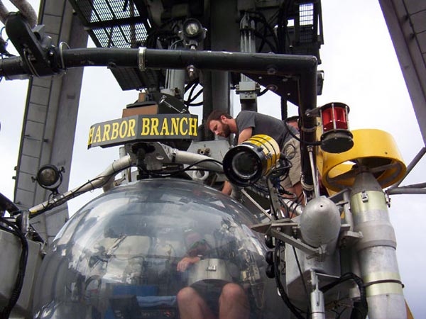  J.D. Dubik enters the Johnson-Sea-Link II for a three-hour dive