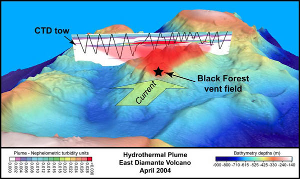 A perspective view of the several eruption cones inside the East Diamante caldera.