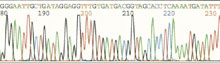 DNA sequencer output.