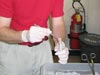 Puting coral tissue samples into fixative for DNA studies.