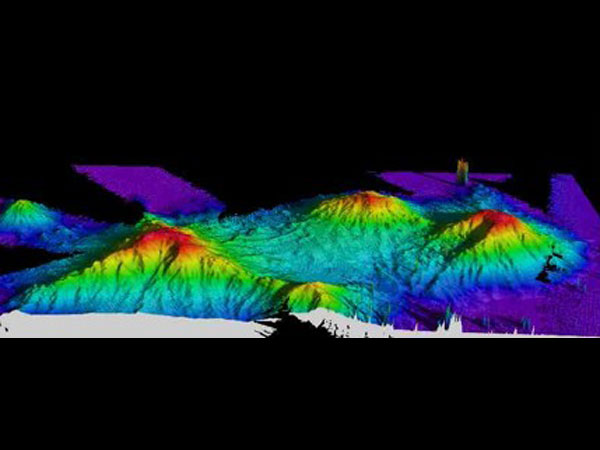 Multibeam map processed into three-dimensional image of Manning seamount complex.