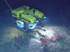 Recovering the basalt recruitment block experiment with the Hercules ROV.
