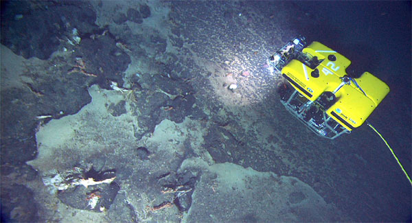 The Hercules ROV as seen from the Argus ROV.