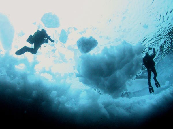Ice divers during a dive in the Canada Basin from the ROV perspective.