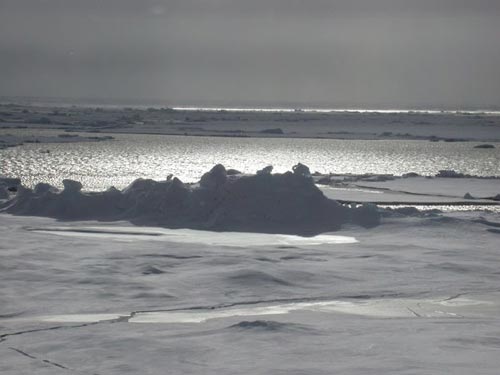 A slide show of the science activities, sea ice landscape and animals found in the Canada Basin during the Arctic Ocean Exploration 2002.