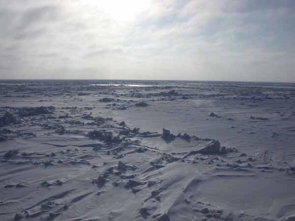 Spring pack ice cover in the Chukchi Sea.