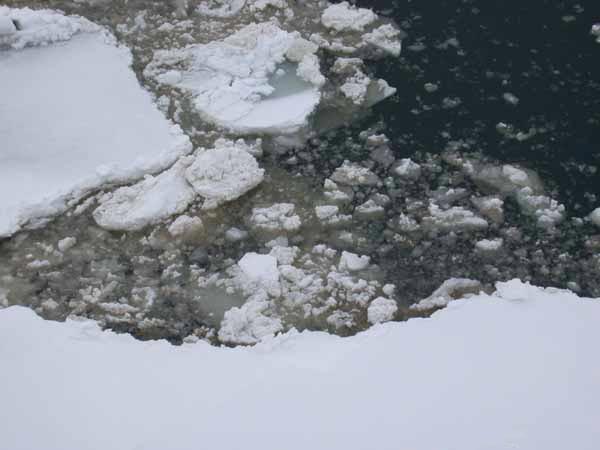 Certain layers within the sea ice can be stained by mass developments of ice algae.