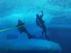 Ice divers use a quadrat to study the density of creatures living on the underside of ice floes.