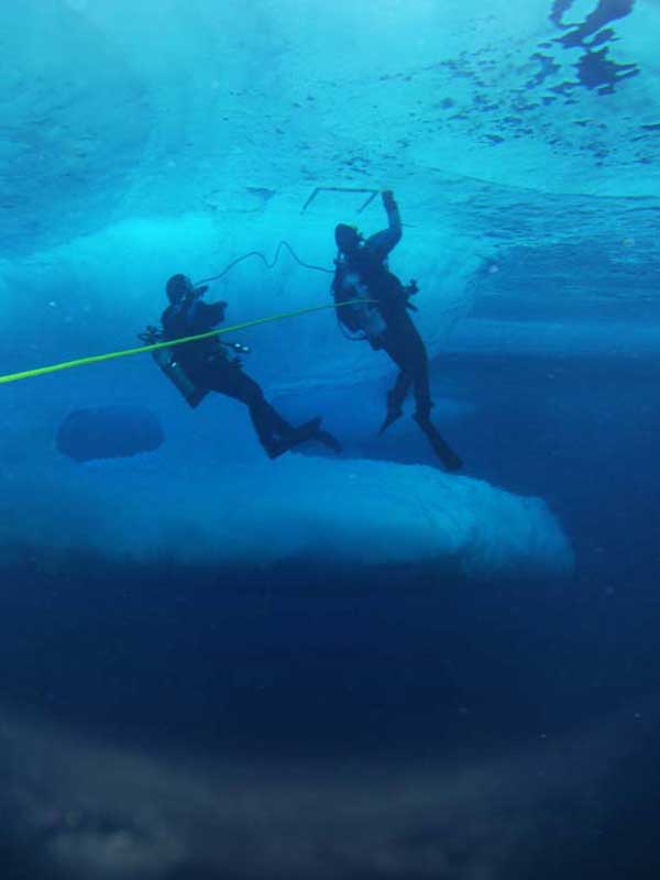 Ice divers use a quadrat to study the density of creatures living on the underside of ice floes.