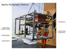 The Photographic Platform was one of three tools send down to explore the pockmarks on the ocean floor.