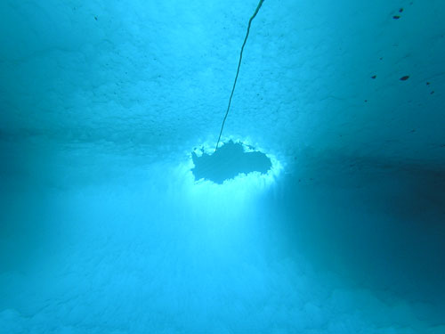 Photos taken underneath the ice surface show both the complexity of the ice structure as well as the stunning shades of blue.  When ice floes push together, they form pressure ridges that are visible both above and below the surface forming a complex habitat that supports an abundant and diverse assemblage of organisms