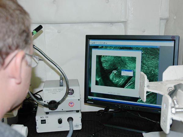 Kevin Raskoff projects images of his specimen from a microscope onto a computer screen. Enlarging the specimen onto a screen provides scientists a clearer view to study their subjects.