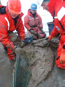 The Beam Trawl is back on board with a muddy load!