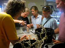 Excited science crew gathers around the ship's lab sorting table to examine the catch