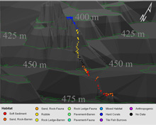 Example of a three-dimensional depiction of changes in habitat over the course of a single submersible dive