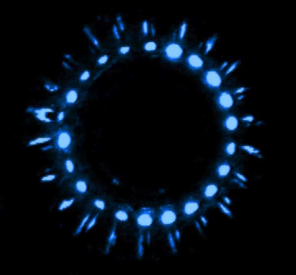 Bioluminescence of Atolla seen with the lights off.