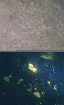 Appearance of methane hydrates on the sea floor Appearance of methane hydrates on the sea floor