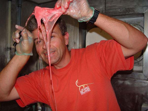 Dr. Marshall with slime extruded from the pores of the hagfish.