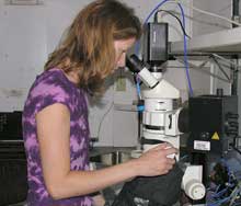 Research Technician Karen Konzen at the microscope specially designed to view fluorescence