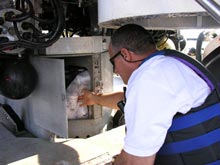 Submersible pilot Hugo Marrero places Styrofoam cups in the battery box of the Johnson-Sea-Link Submersible pilot Hugo Marrero places Styrofoam cups in the battery box of the Johnson-Sea-Link