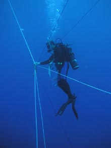 Marine scientist spiderman Misha Matz coordinates a blue water dive for 4 companions