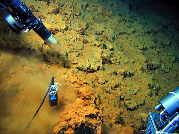 The suction sampler on Pisces V vacuums up some orange microbial mat at Volcano W.