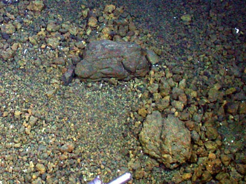 Clark submarine volcano viewed from the southeast looking northwest.